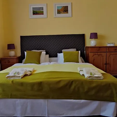 Arianna 米什科尔茨