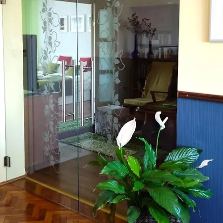 Arianna 米什科尔茨